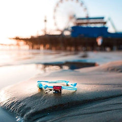 Venice California