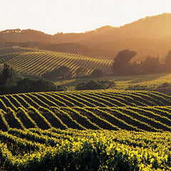 California Wine Country