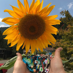 Bee Happy | Earth Vibes